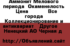 Аммонит Мелового периода. Окаменелость. › Цена ­ 2 800 - Все города Коллекционирование и антиквариат » Другое   . Ненецкий АО,Черная д.